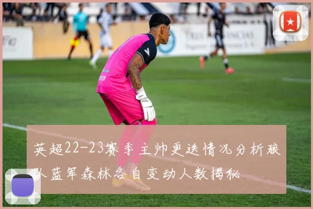 英超22-23赛季主帅更迭情况分析狼队蓝军森林各自变动人数揭秘